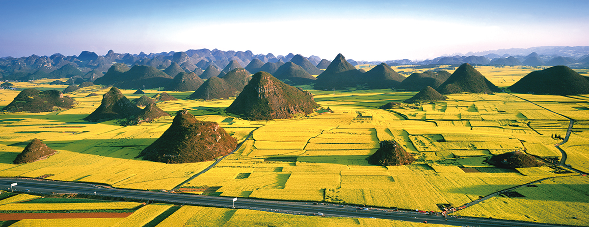 1689065121461916.jpg 金雞峰叢 (2).jpg